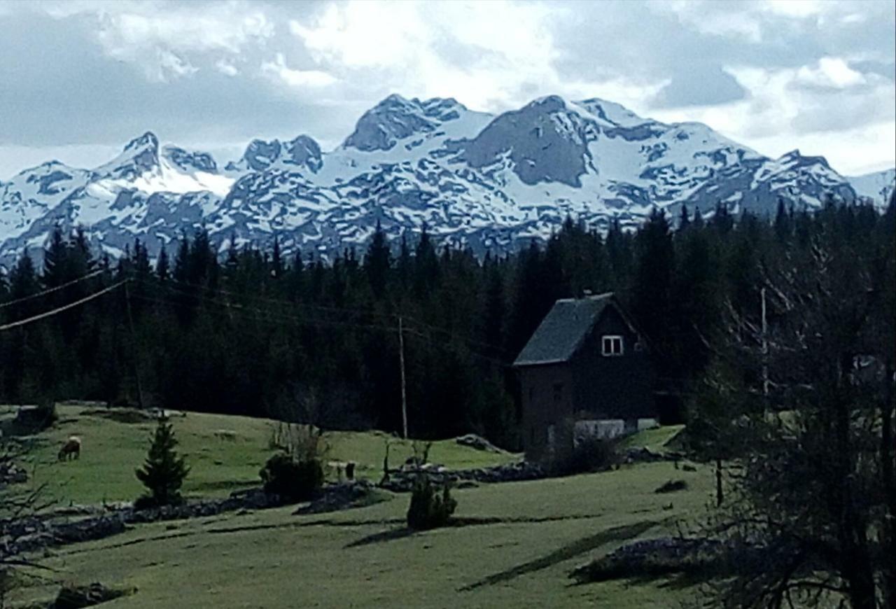 Village House Popovic Žabljak エクステリア 写真